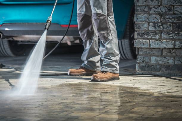 Best Animal Enclosure Cleaning  in Jackson, AL