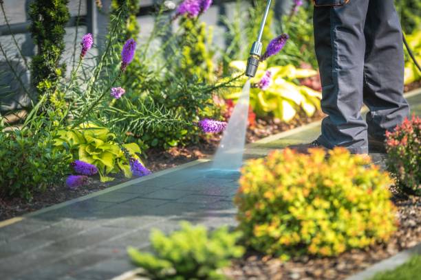 Jackson, AL Pressure Washing Services Company