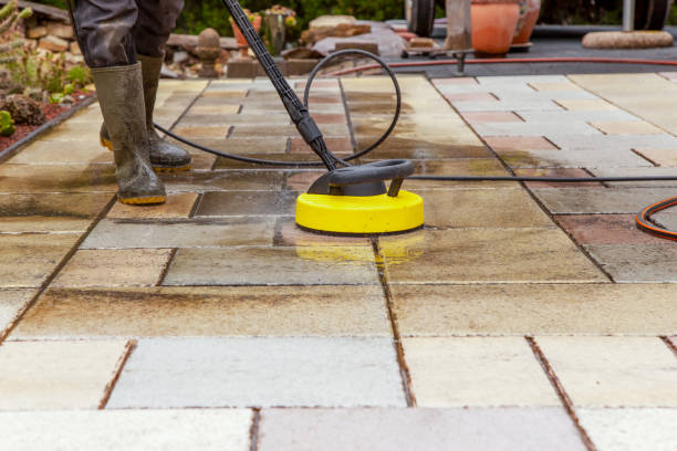 Best Solar Panel Cleaning  in Jackson, AL